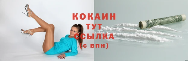 ПСИЛОЦИБИНОВЫЕ ГРИБЫ Арсеньев