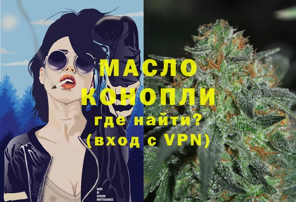 индика Переславль-Залесский