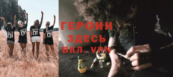 ПСИЛОЦИБИНОВЫЕ ГРИБЫ Арсеньев