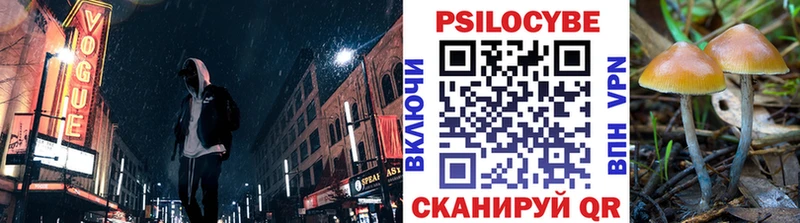 Галлюциногенные грибы Cubensis  хочу   Славск 